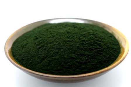 Chlorella, An Incredibly Nutrient Dense Sea Vegetable (Algae)