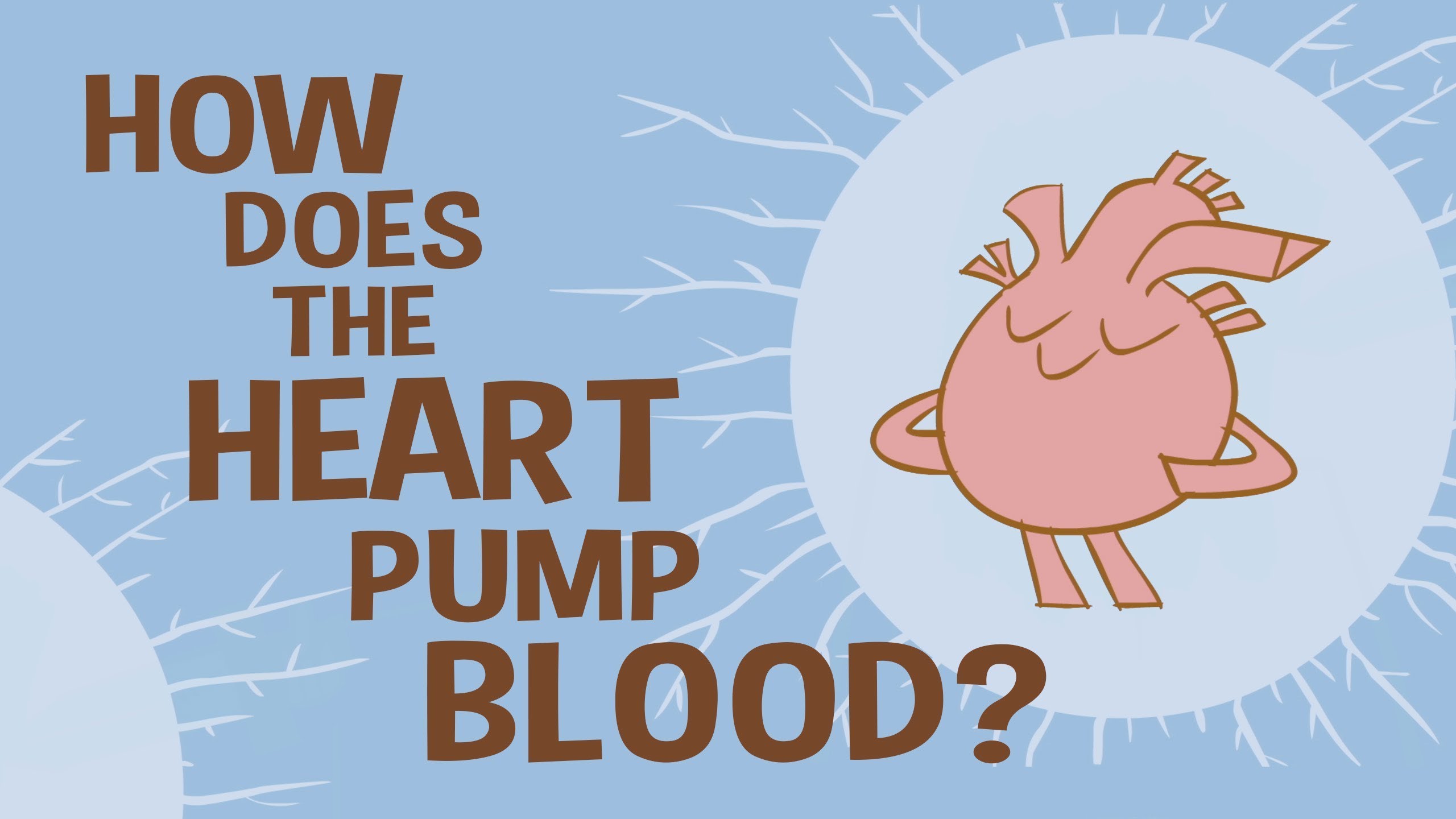 WHAT IF I TOLD YOU THE HEART IS NOT A PUMP?