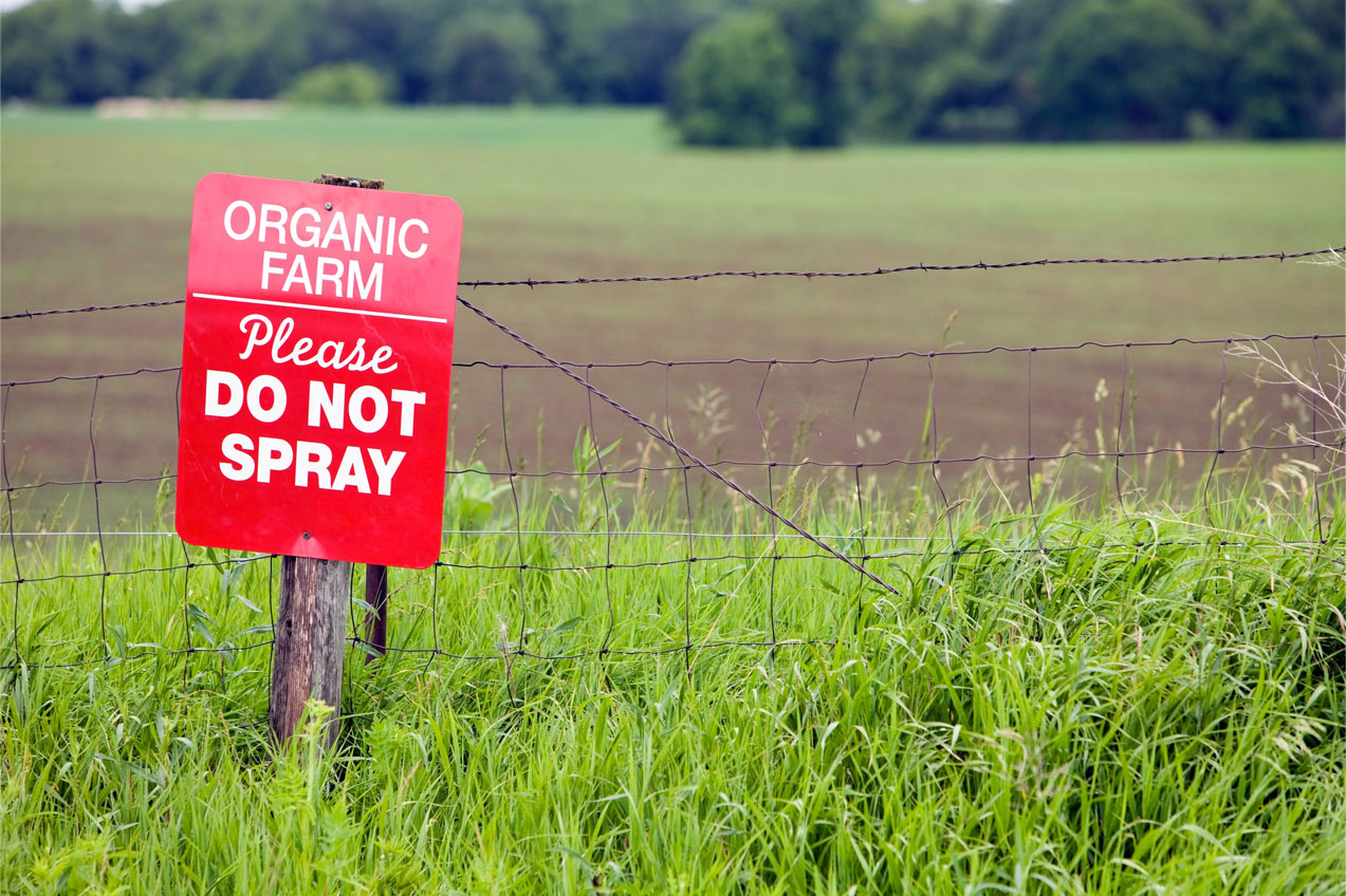 ORGANIC VS. CONVENTIONAL FARMING (PART 2)